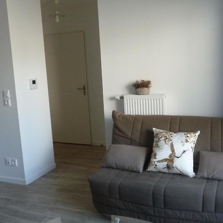 Pour Visiter Ou Travailler Dans Le Loiret Apartment Saint-Jean-de-Braye Exterior foto