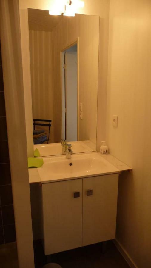 Pour Visiter Ou Travailler Dans Le Loiret Apartment Saint-Jean-de-Braye Exterior foto